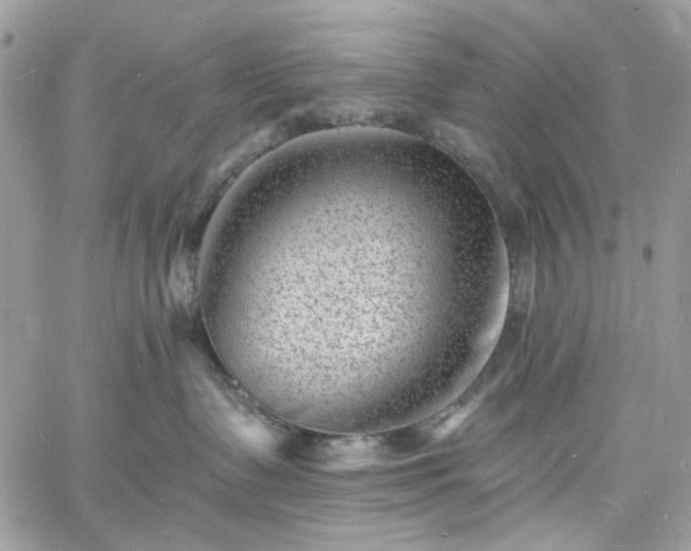 X0000060790335200511171314