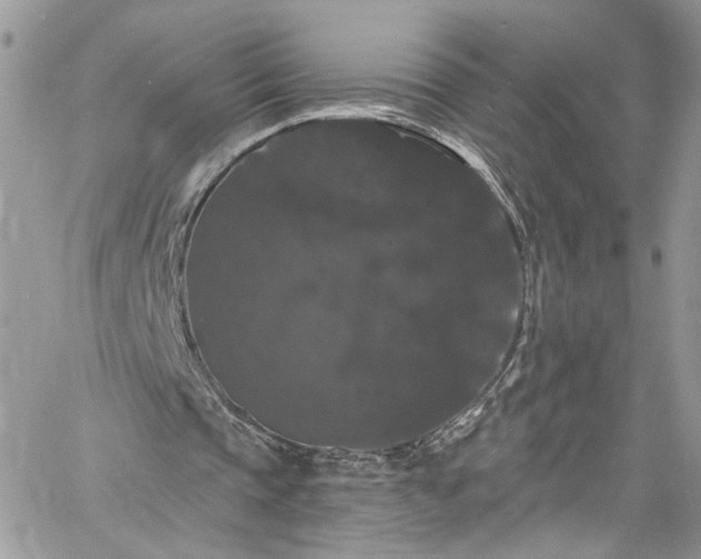 X0000060790337200511171314