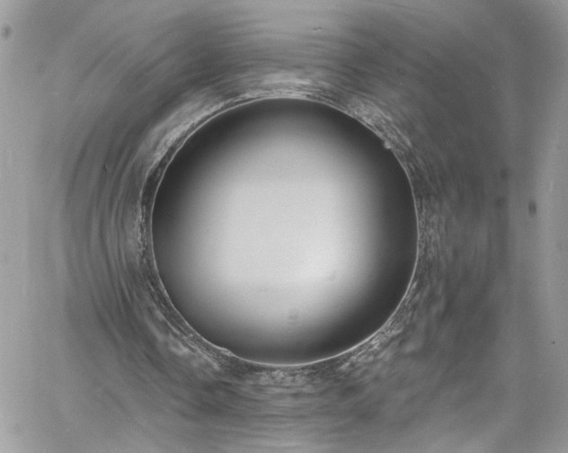 X0000060790338200511171314