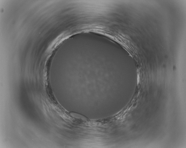 X0000060790339200511171314