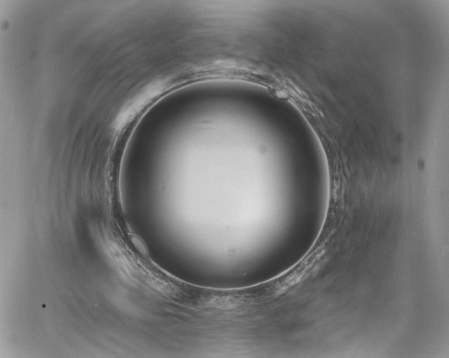 X0000060790341200511171314