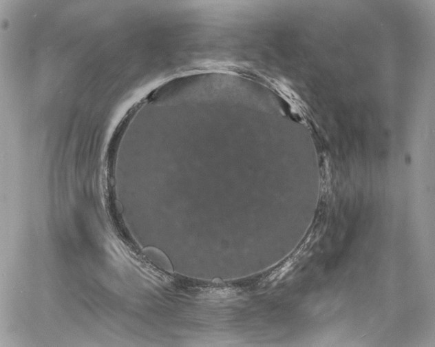 X0000060790342200511171314