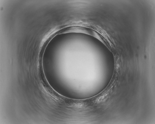 X0000060790344200511171314