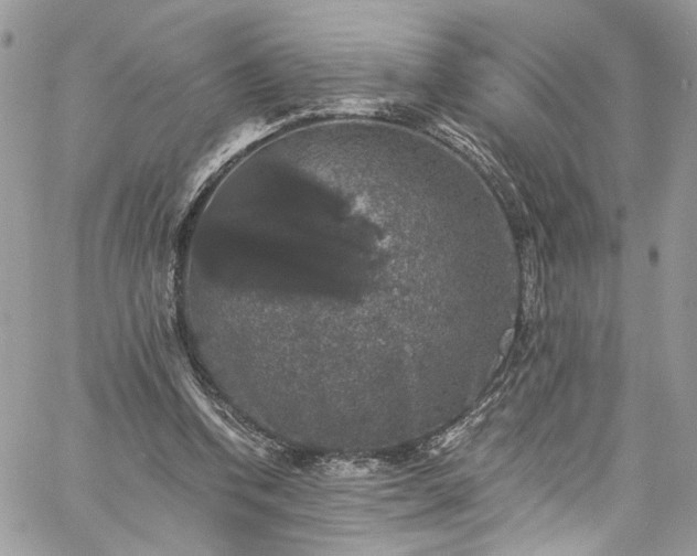 X0000060790346200511171314