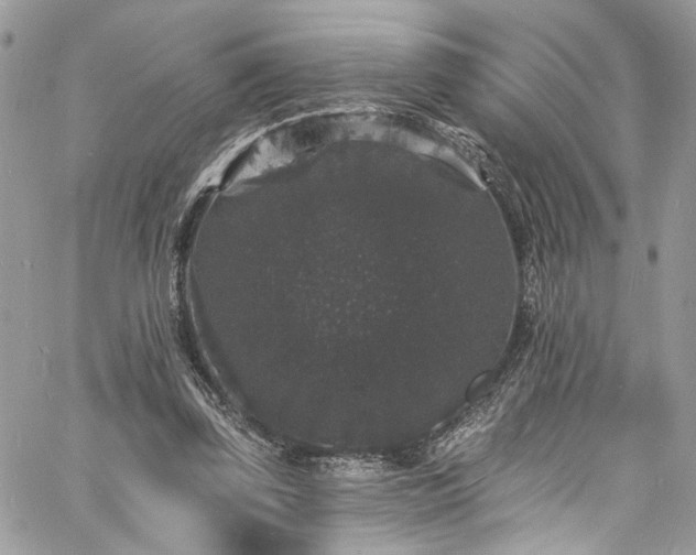 X0000060790347200511171314