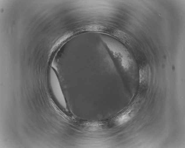 X0000060790349200511171314