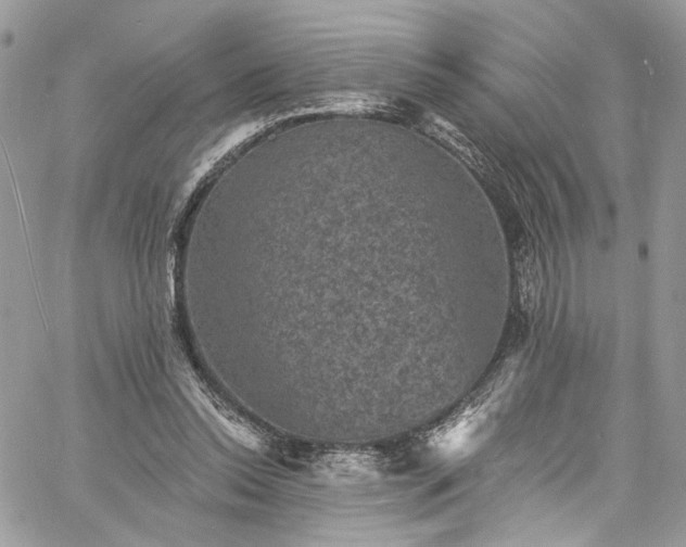 X0000060790350200511171314