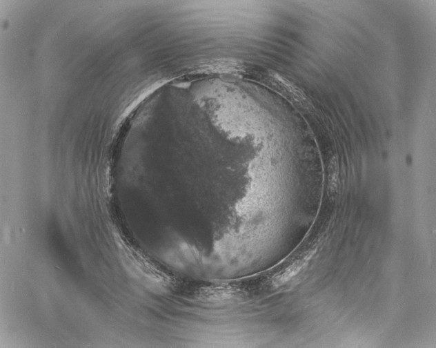 X0000060790351200511171314