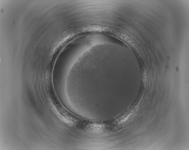 X0000060790352200511171314