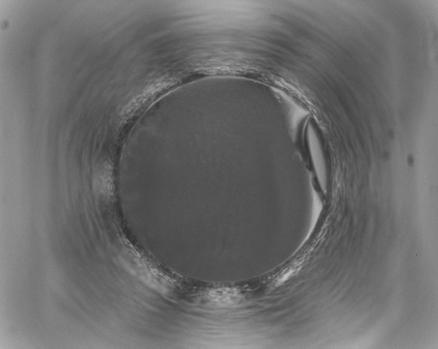 X0000060790353200511171314