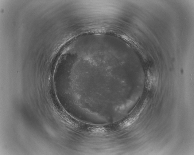 X0000060790355200511171314