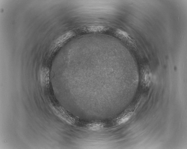 X0000060790356200511171314