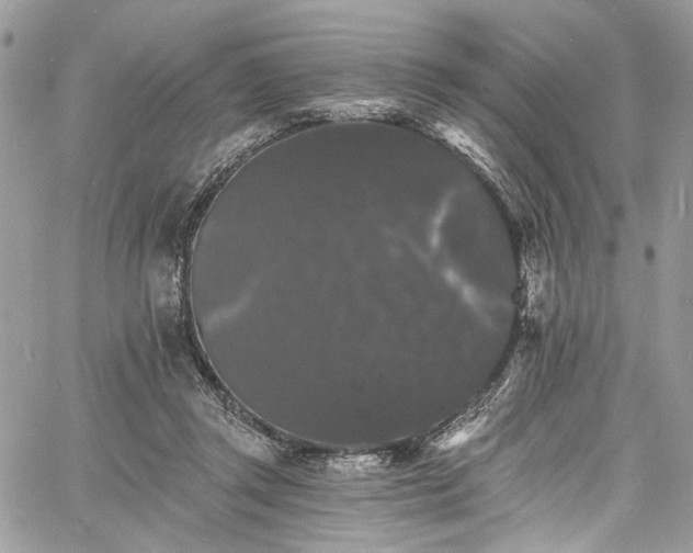 X0000060790357200511171314