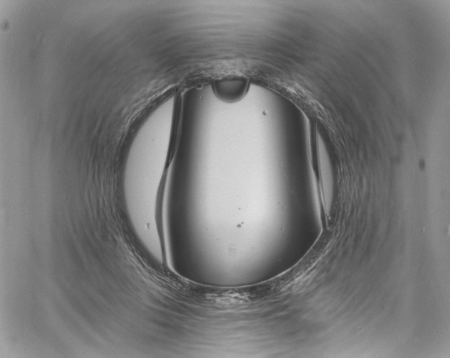 X0000060790359200511171314