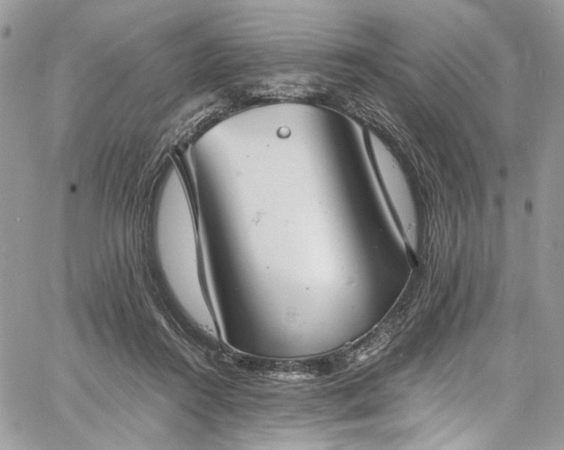 X0000060790360200511171314