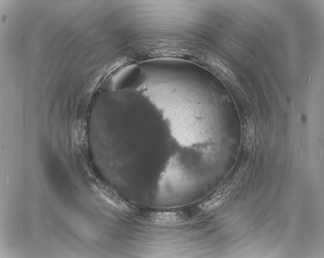 X0000060790361200511171314