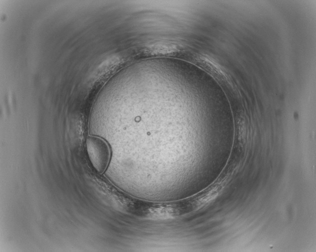 X0000060790362200511171314