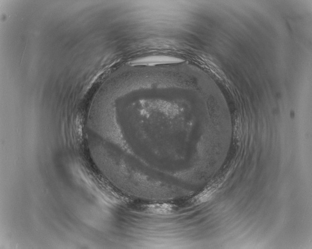 X0000060790363200511171314