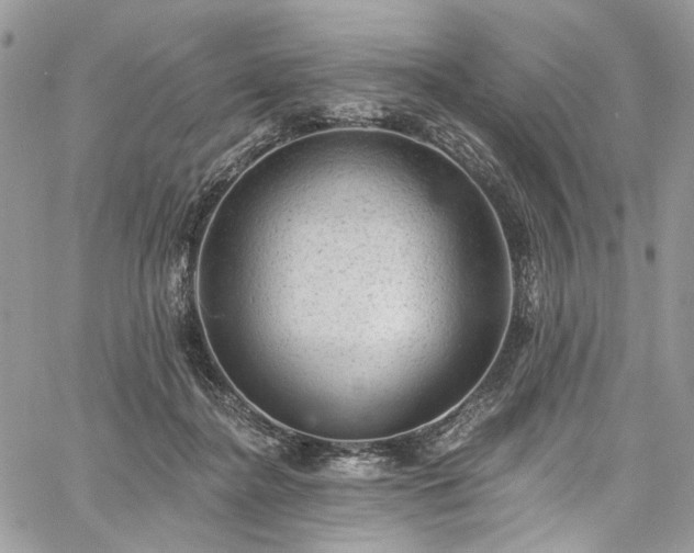 X0000060790364200511171314