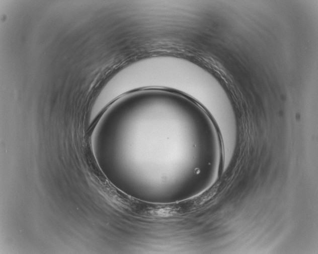 X0000060790365200511171314