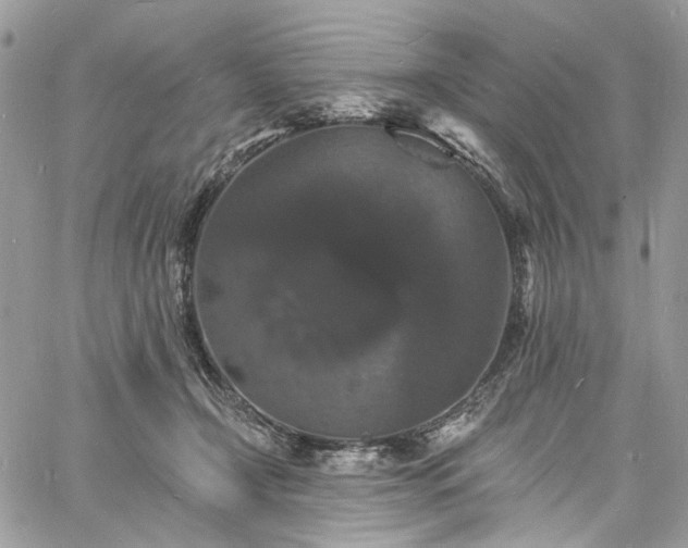 X0000060790366200511171314