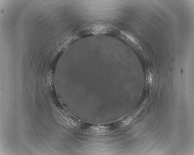 X0000060790367200511171314