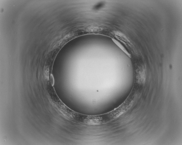 X0000060790368200511171314