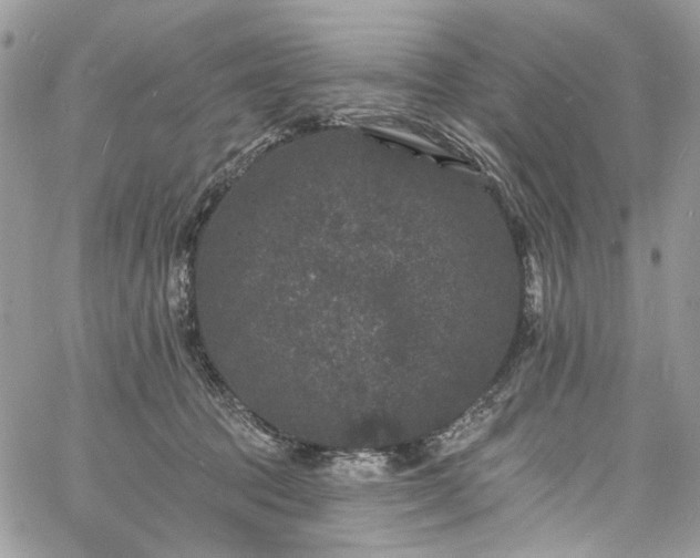 X0000060790369200511171314