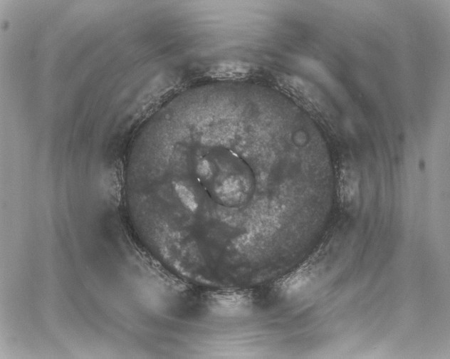 X0000060790370200511171314