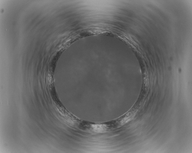 X0000060790371200511171314