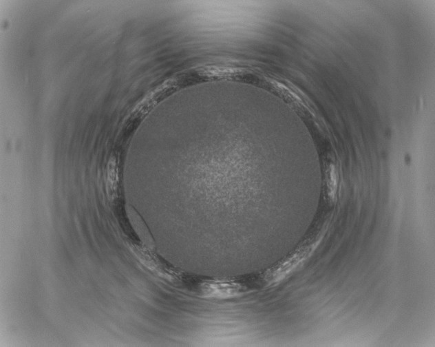 X0000060790372200511171314