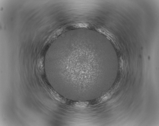 X0000060790373200511171314