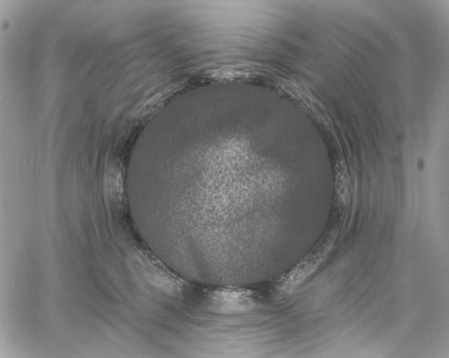 X0000060790375200511171314