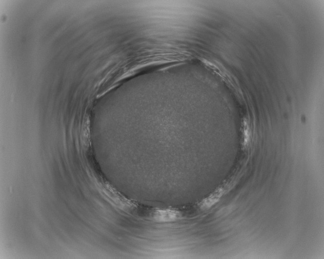 X0000060790376200511171314