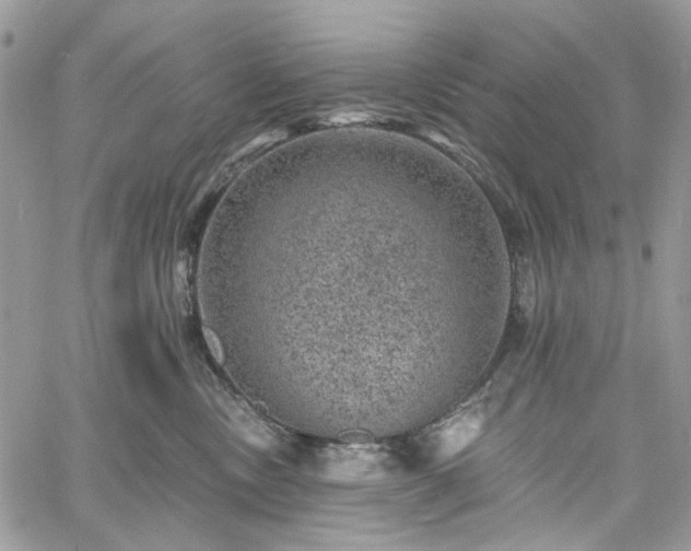 X0000060790378200511171314