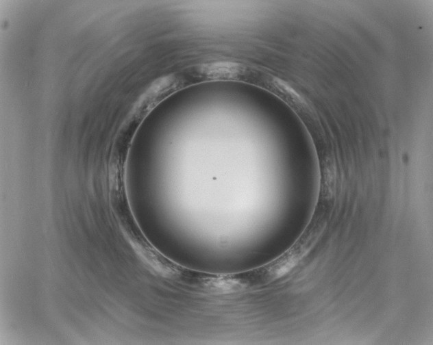 X0000060790379200511171314