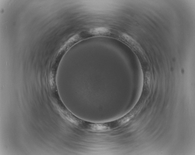 X0000060790380200511171314