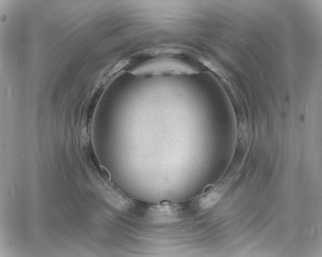 X0000060790381200511171314