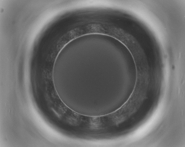 X0000060790382200511171314