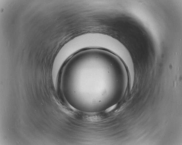 X0000060790383200511171314