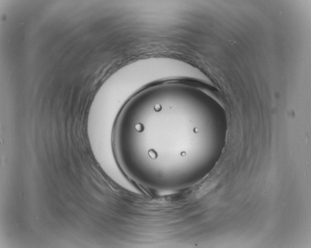 X0000060790384200511171314