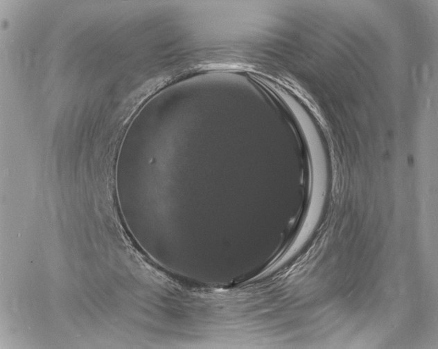 X0000060790385200511171314