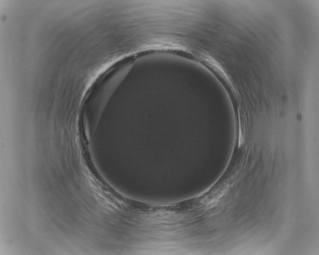 X0000060790387200511171314