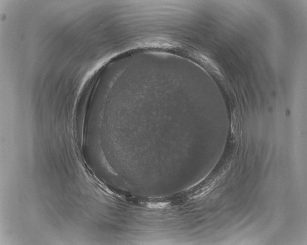 X0000060790388200511171313