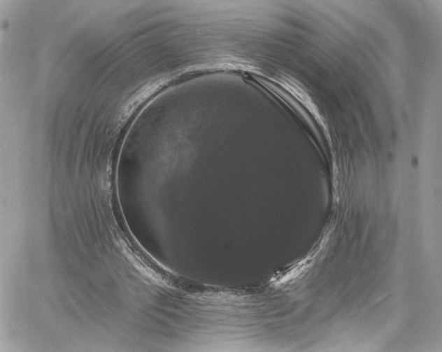 X0000060790389200511171313