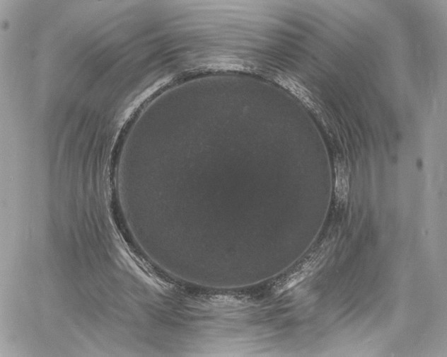 X0000060790390200511171313