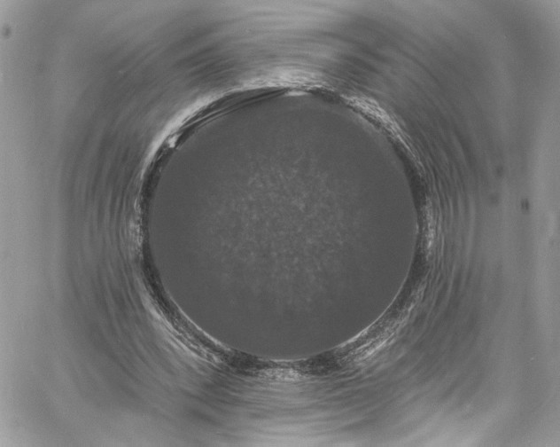 X0000060790392200511171313