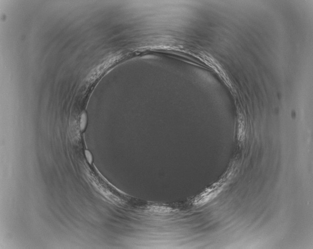 X0000060790393200511171313