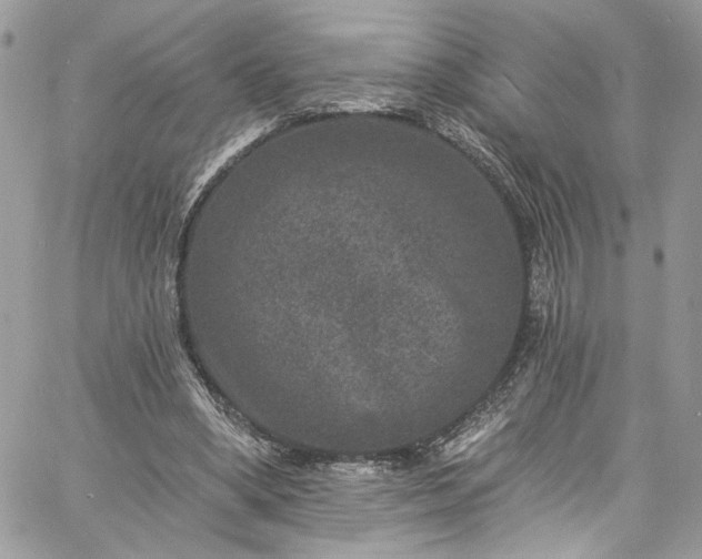 X0000060790394200511171313