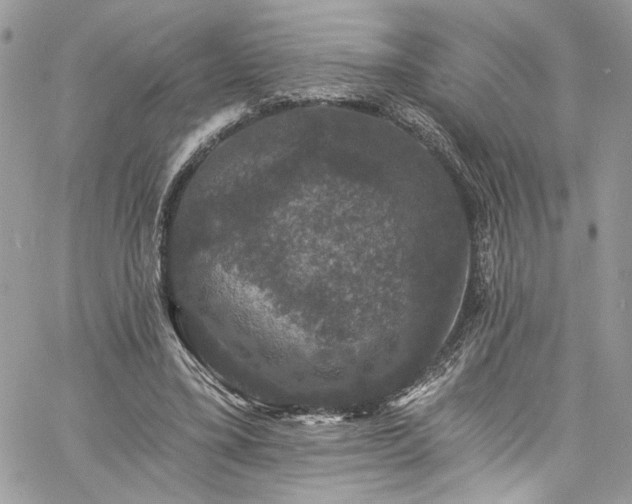 X0000060790395200511171313